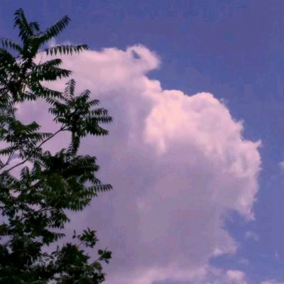 江湖行2破解版下载